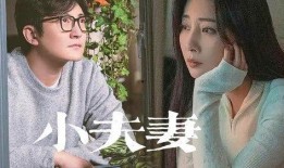 爆料夫妻吵架视频,家庭矛盾引发社会关注