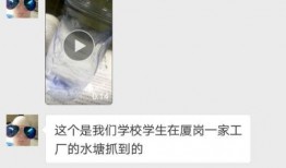 洗眼爆料视频在线观看,揭秘幕后真相，带你直击事件现场